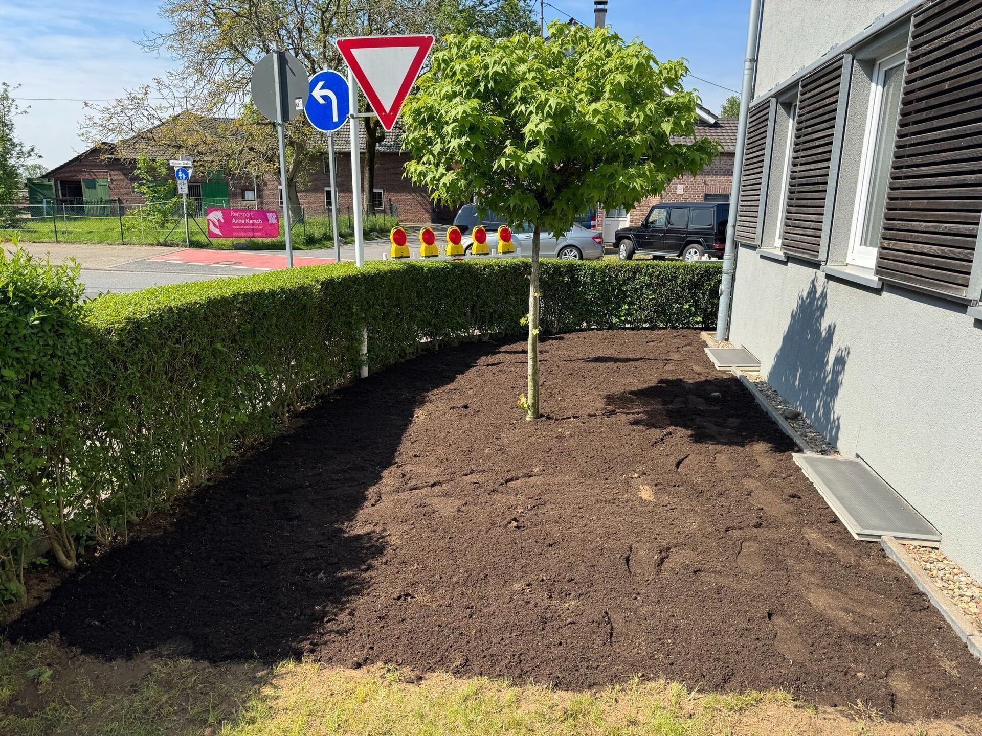 Projekt 1